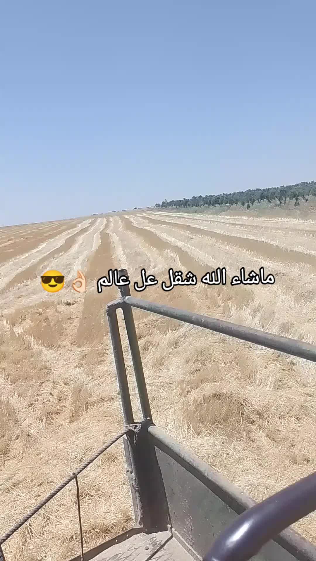 @عܔبـہود 𓅓𓆩𝟓𝟏𝟓𓆪