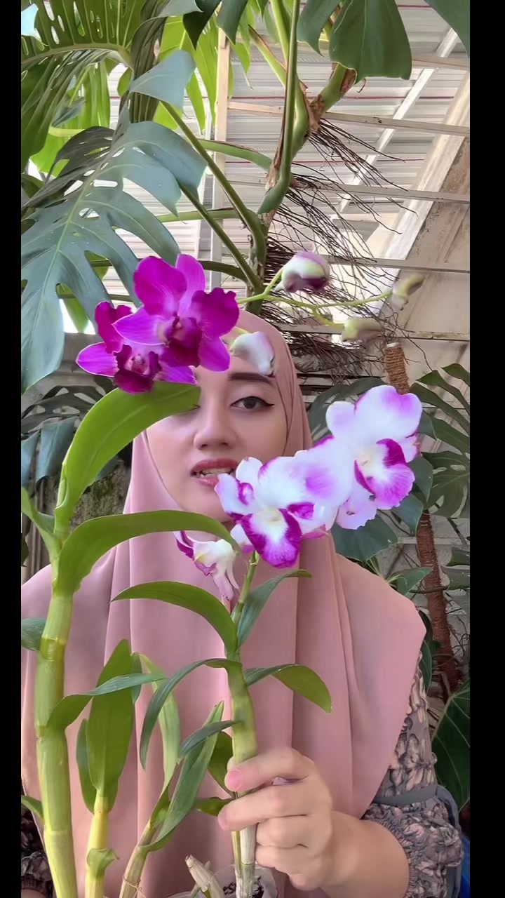 @Anggina Orchid