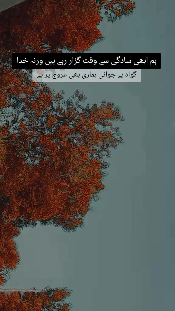 @123456🌹🌹🇵🇰🥀🌹