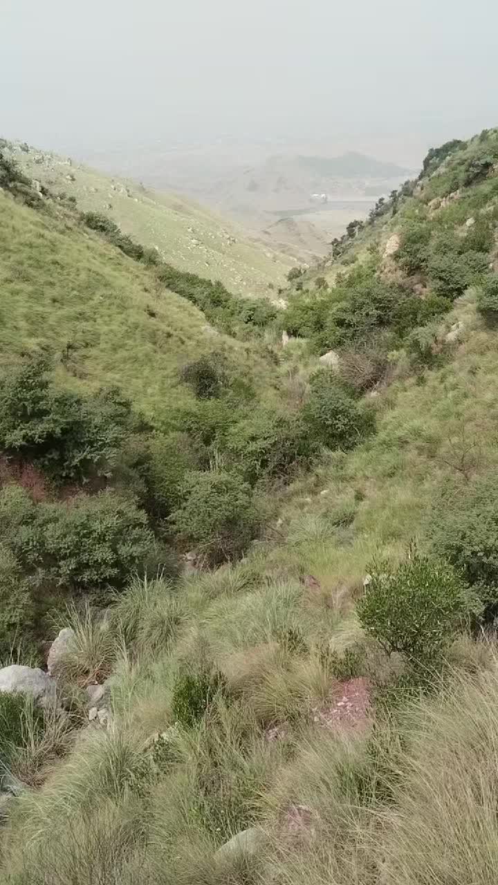 @mkhanafridi22