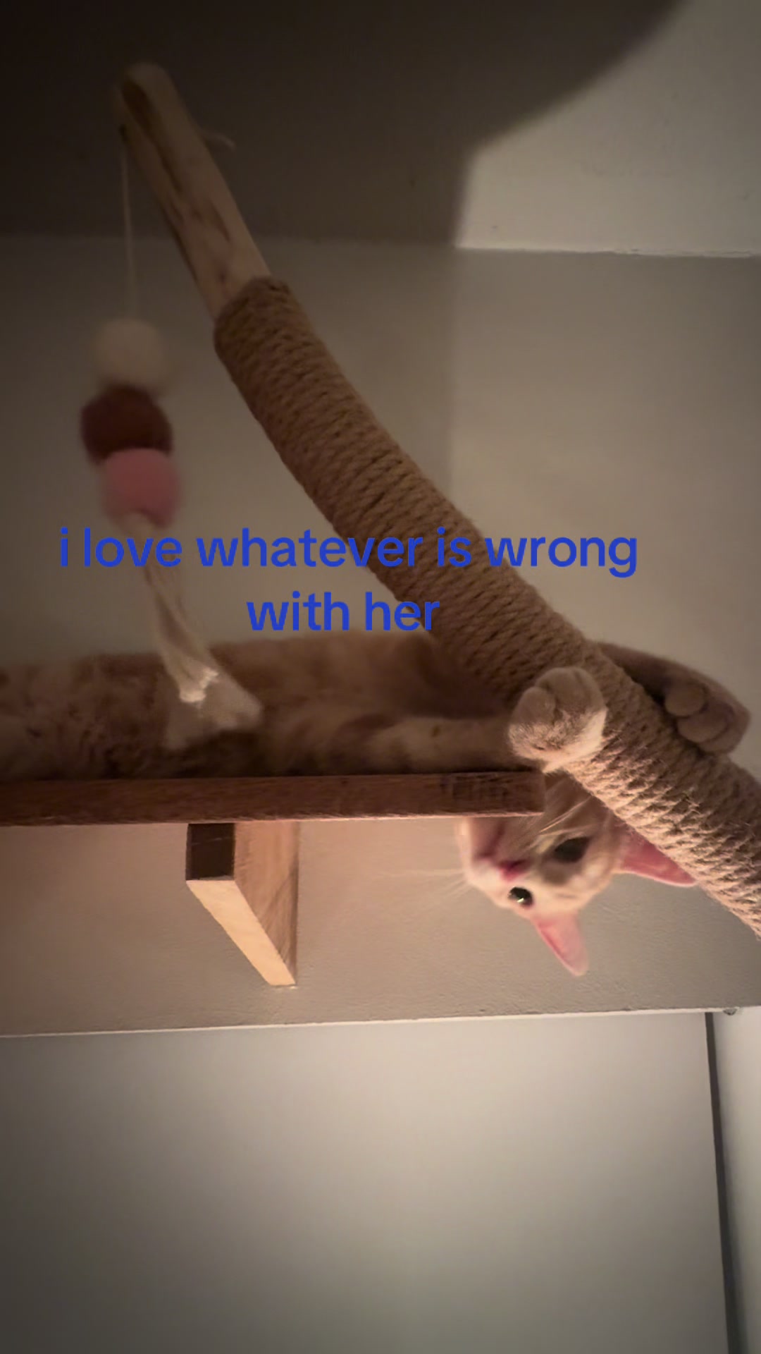 @rosalie
