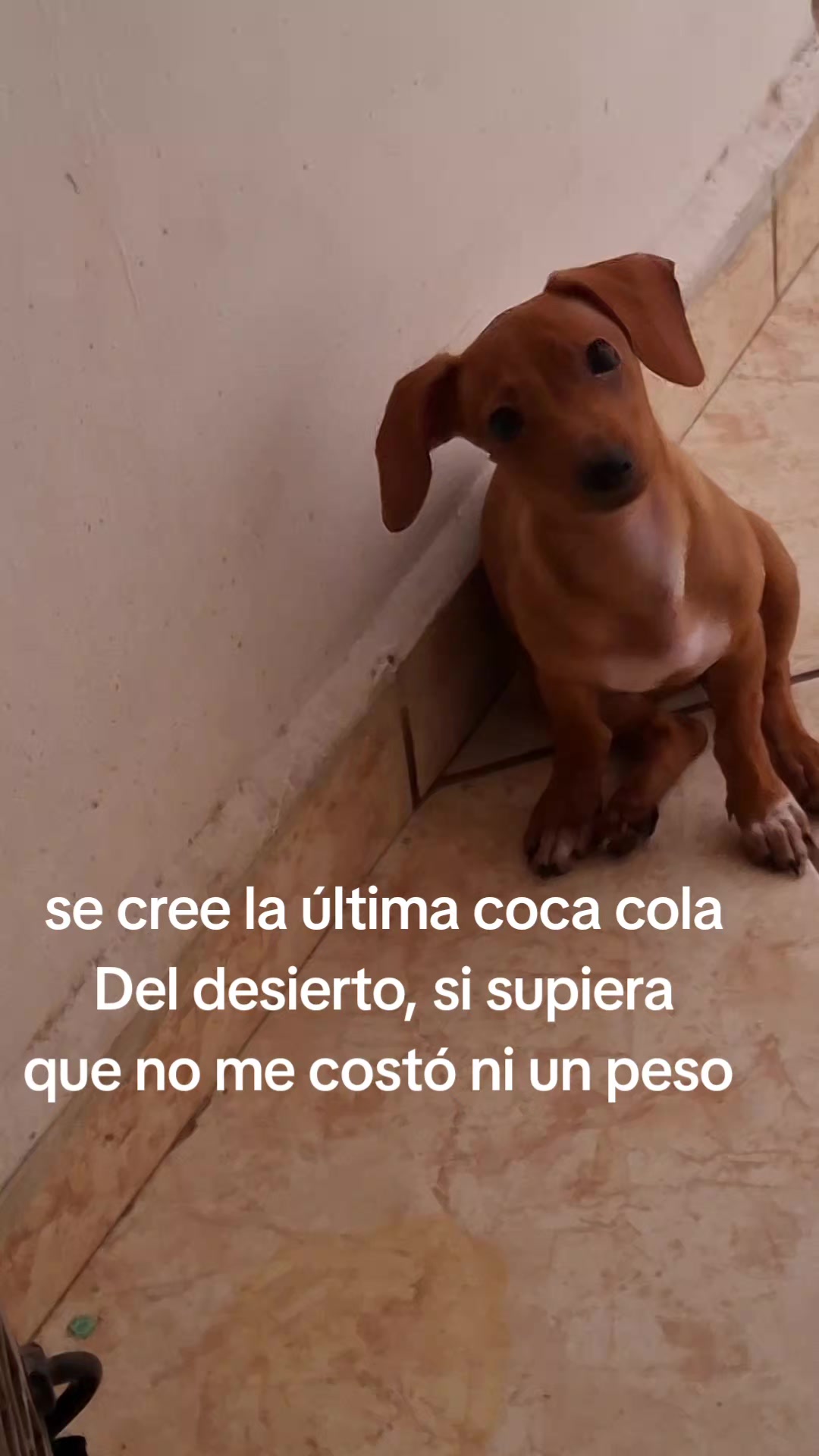 @Lupita🩷✨️