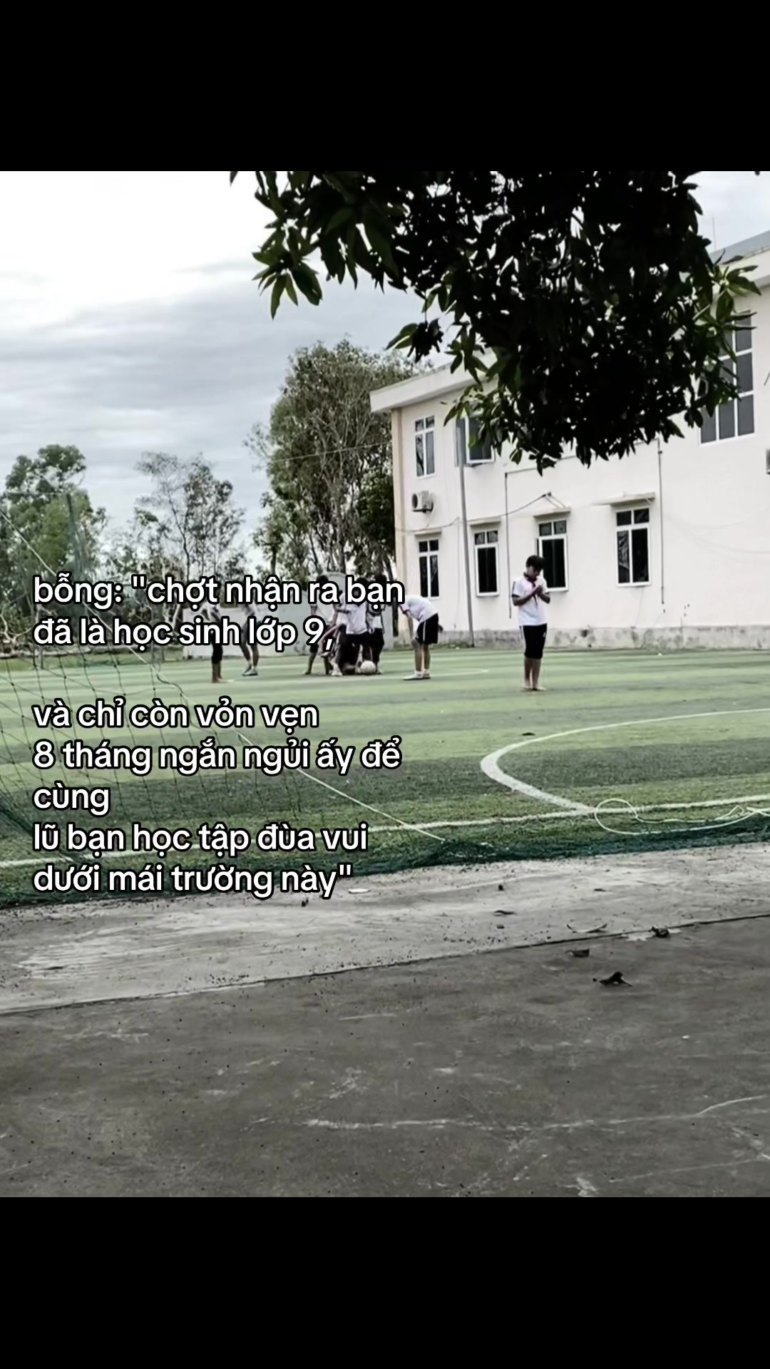 @9c c&aacute;c bố no1