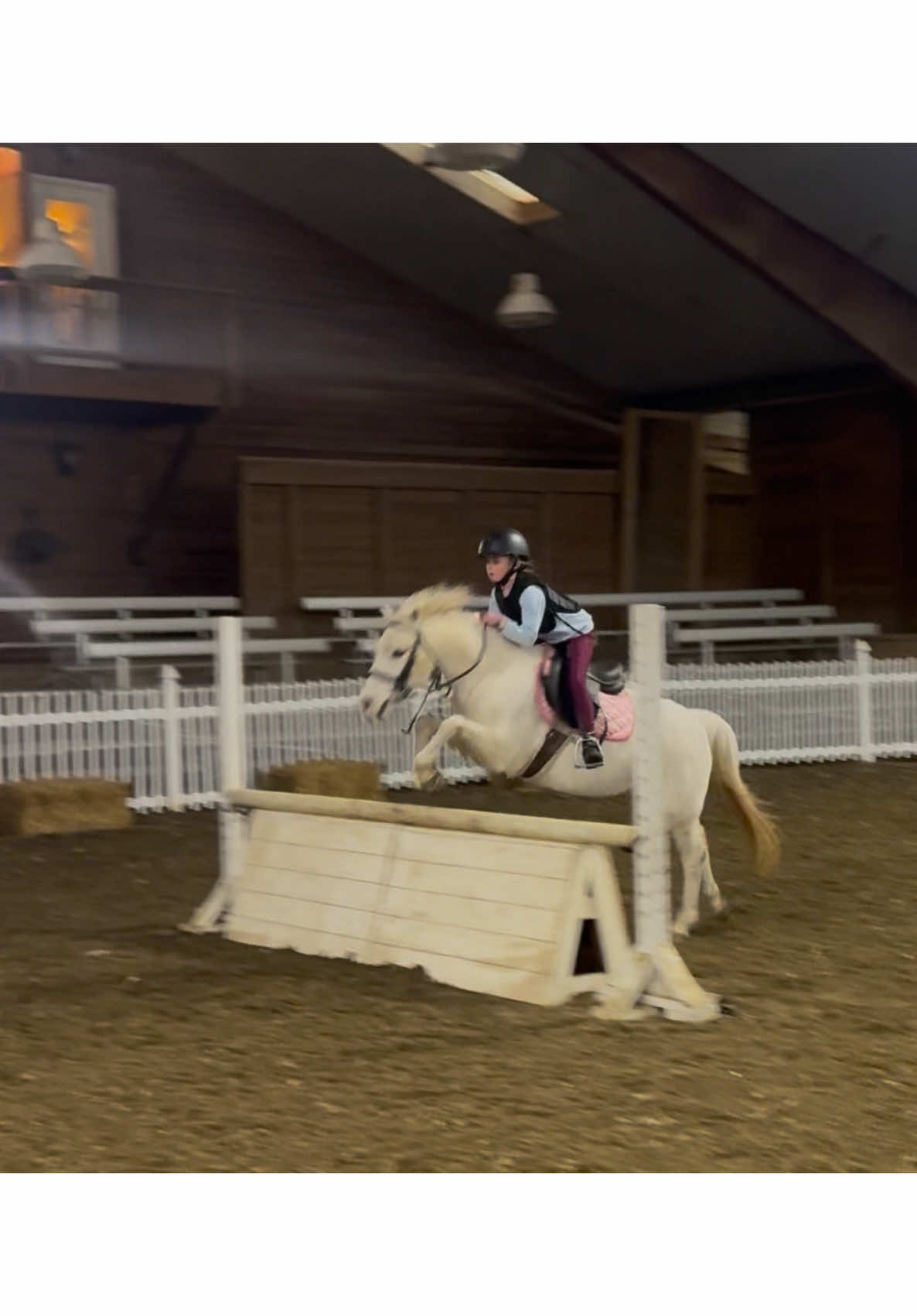 @ckponies