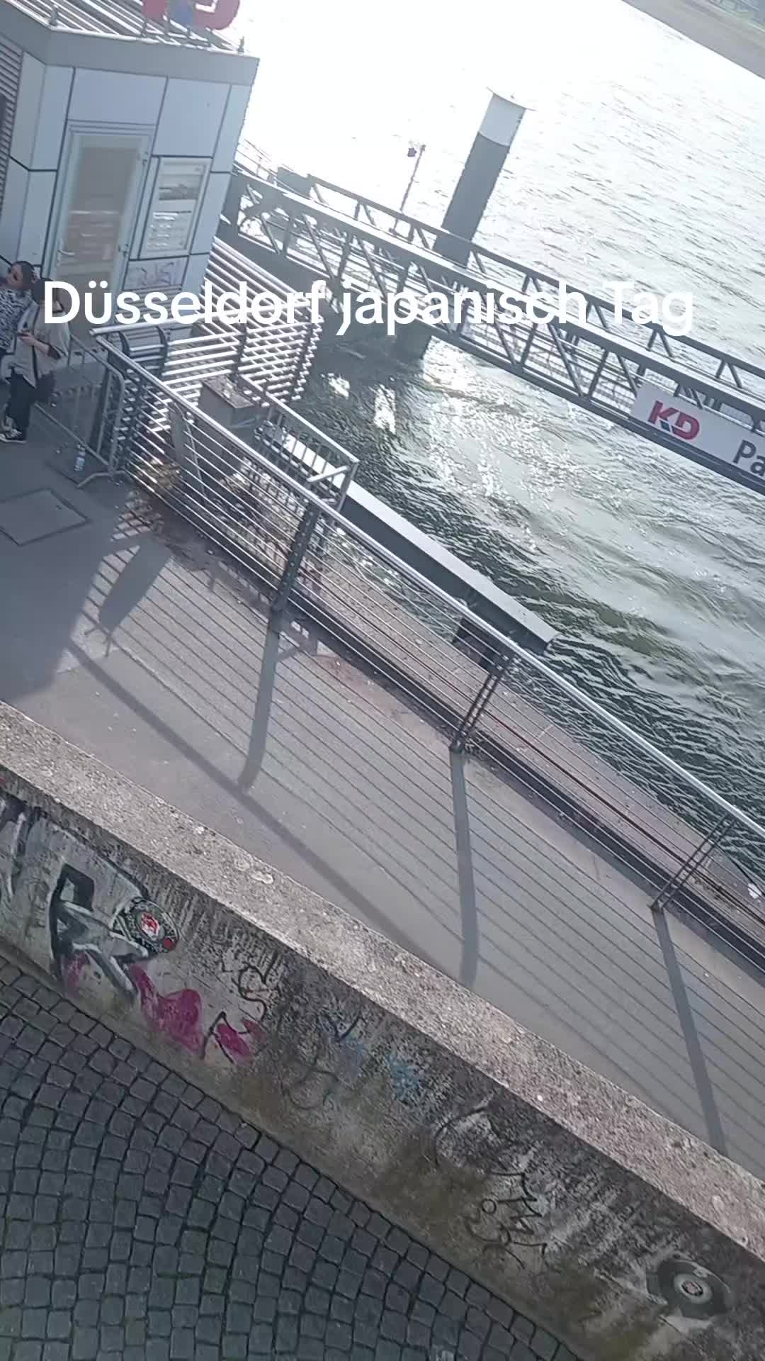 @papu papu