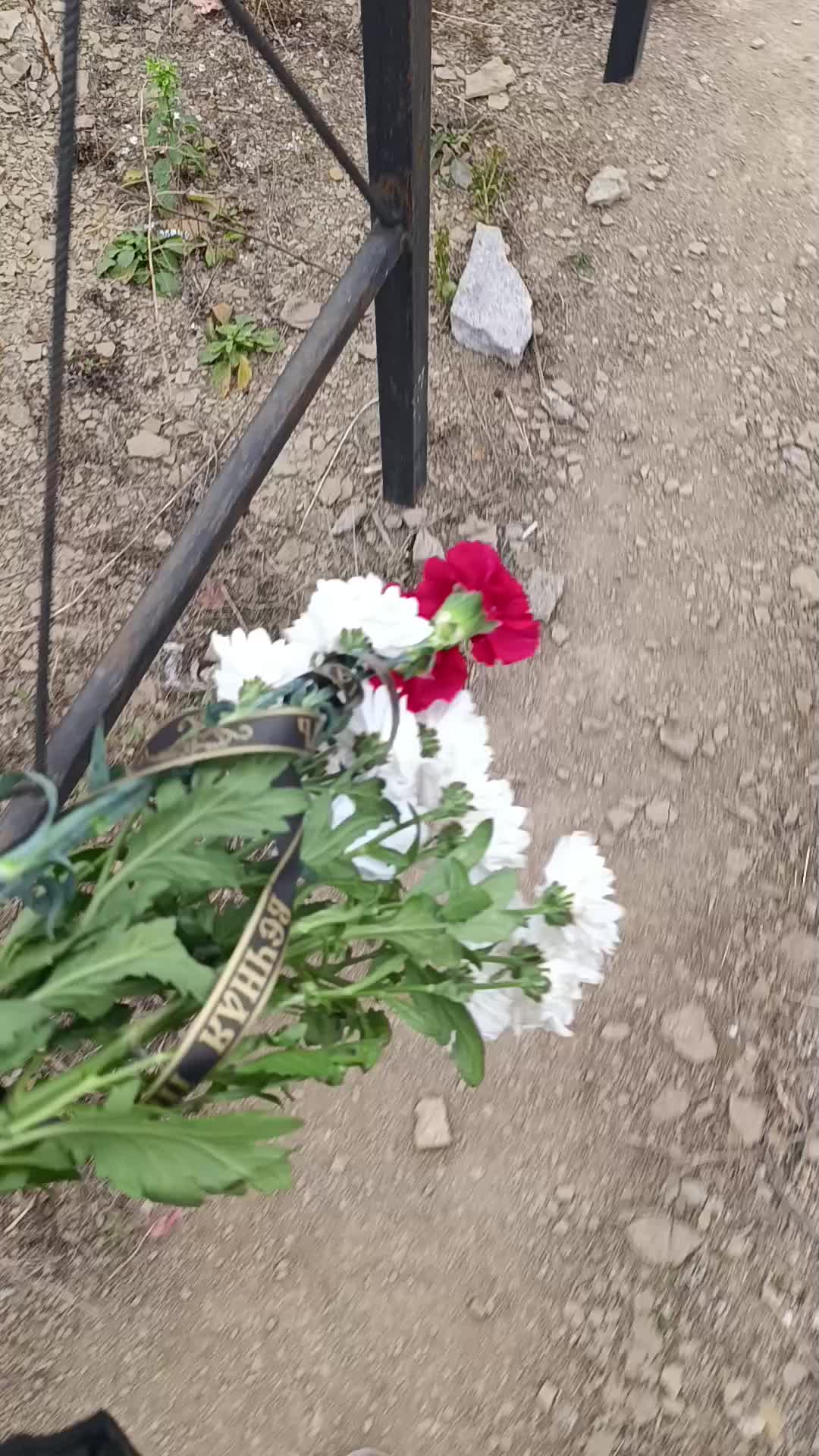 @просто Алёна🤗