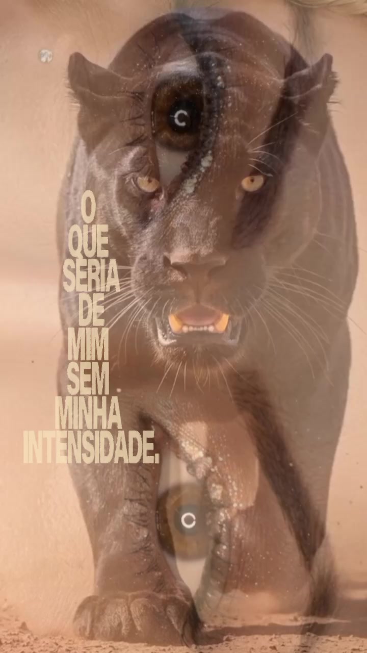 @🦄Deise Gomes🦄