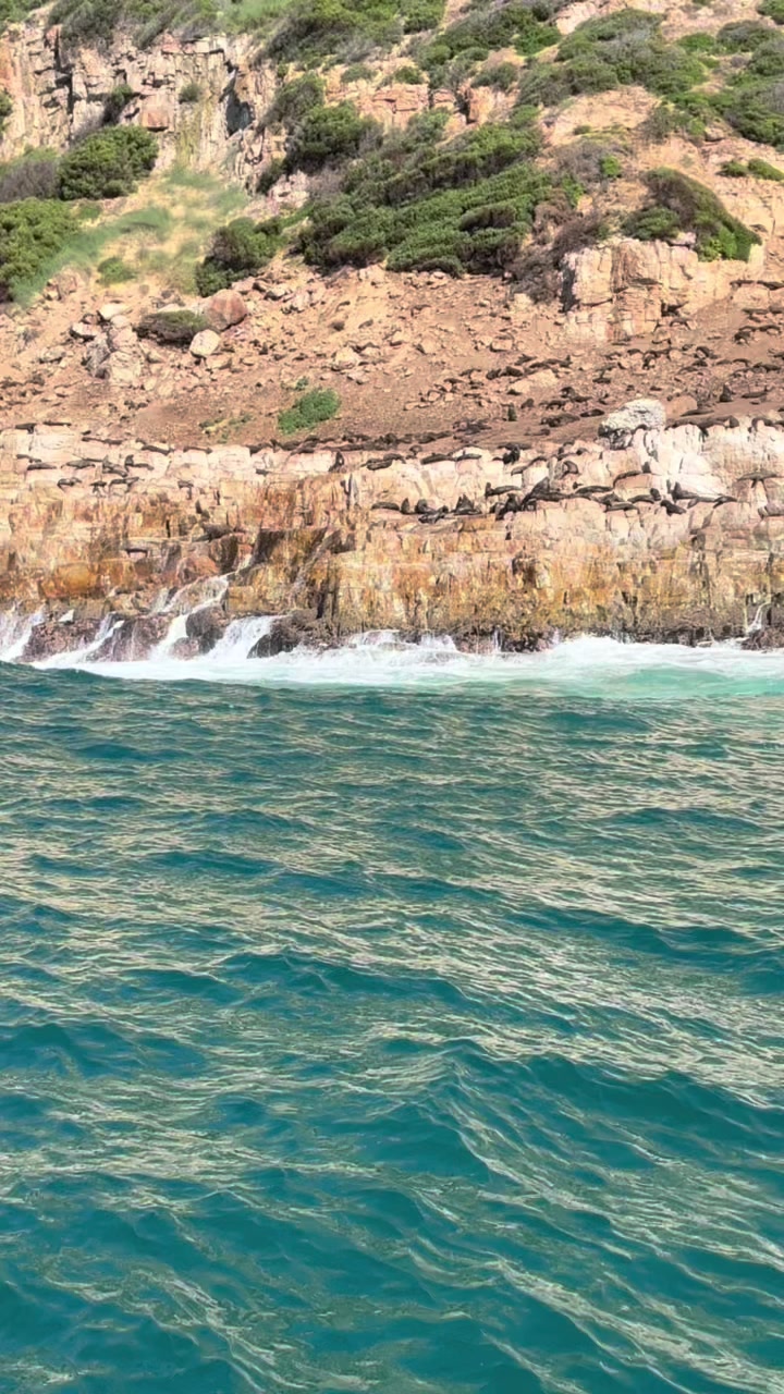 @بعثرة مسافر🇸🇦🇨🇭🇫🇷🇳🇴
