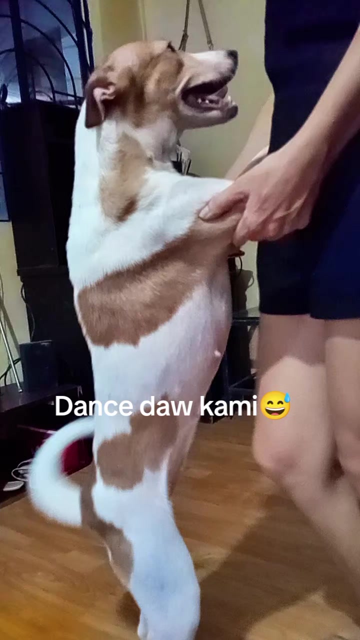 @zhanieee