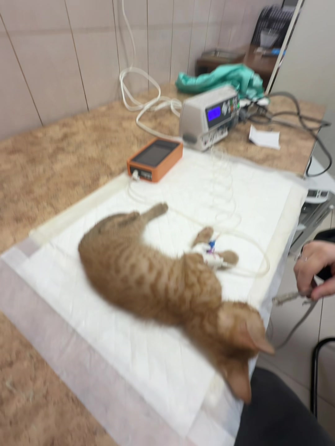 @Аккаунт не найдет