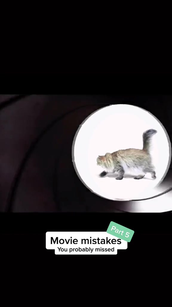 @Dutchkittycat