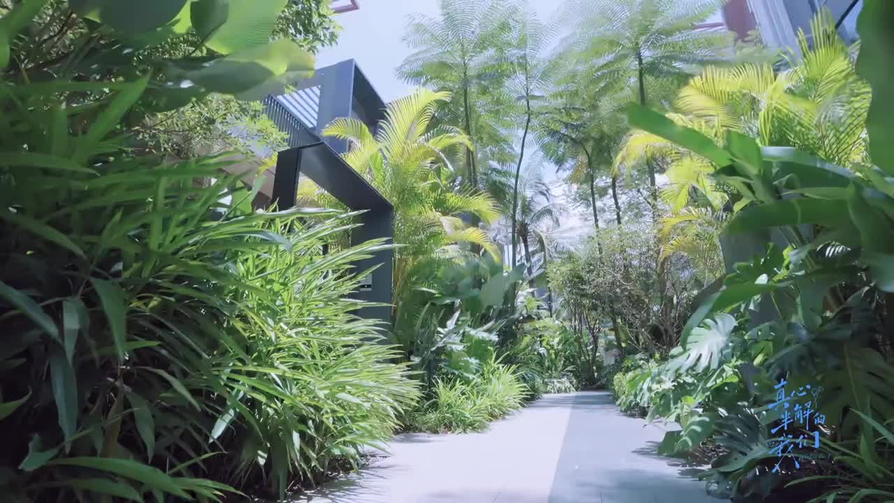 @ទឹកសន្សើម🍒