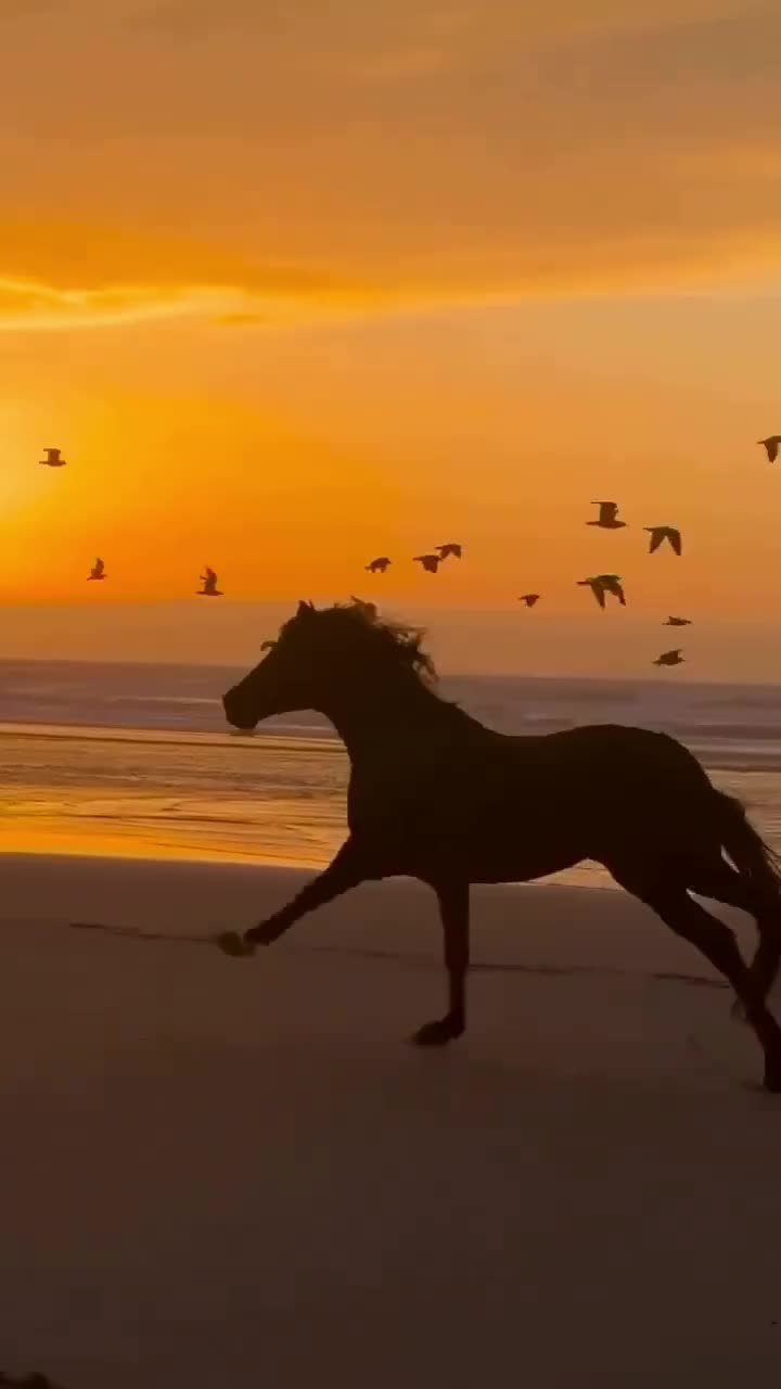 @fafafibro1969