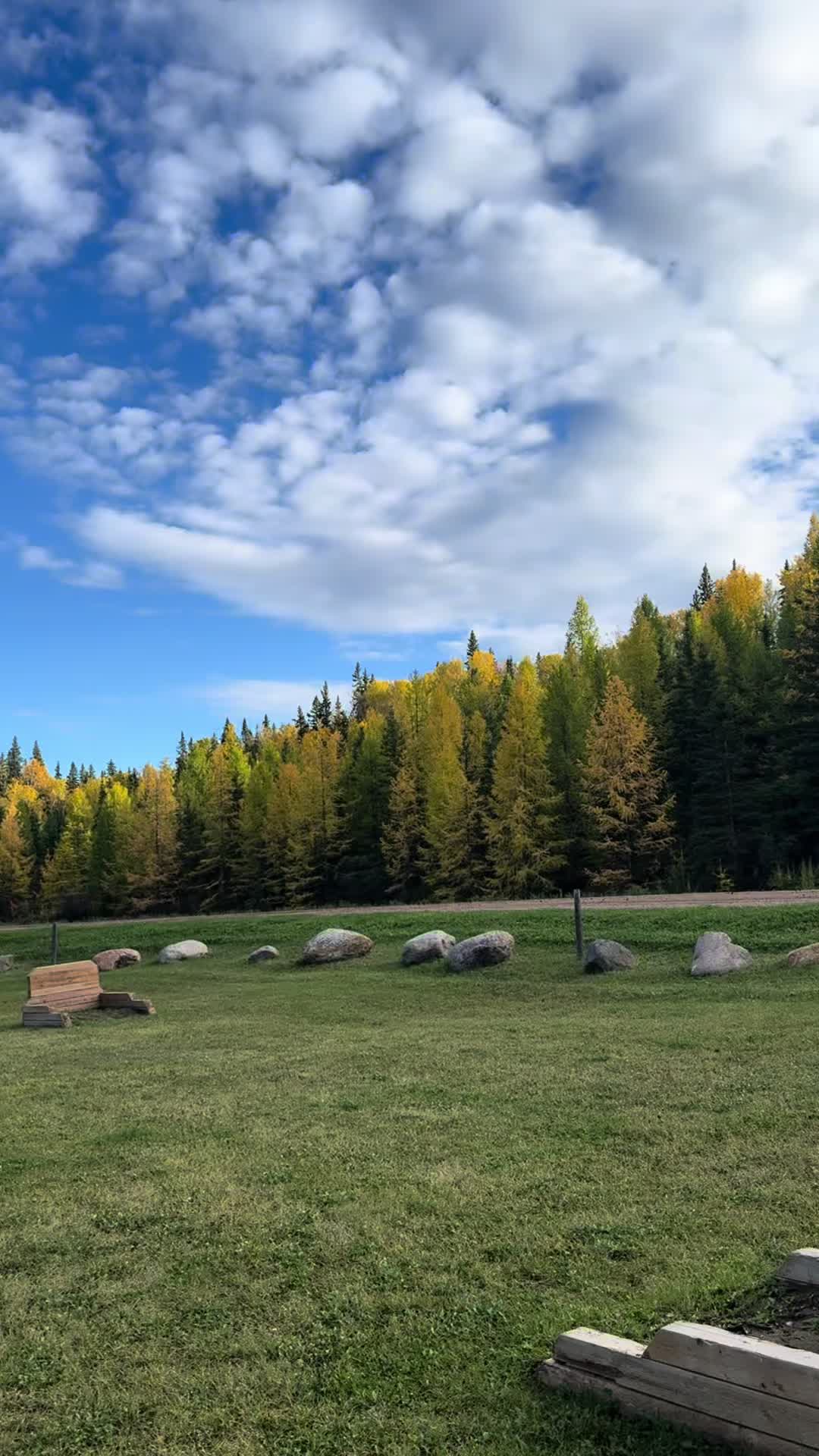 @savenaturesaveearth0