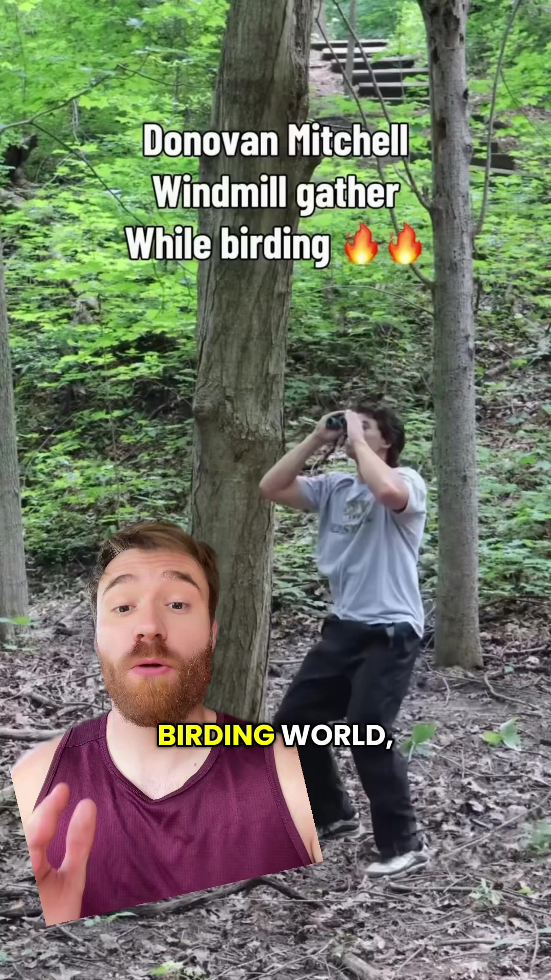 @Mr Bearded Dragon