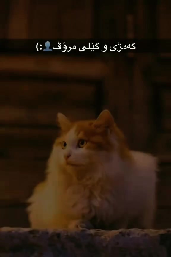 @ژیانێک لە پێناو خودا💐 الله