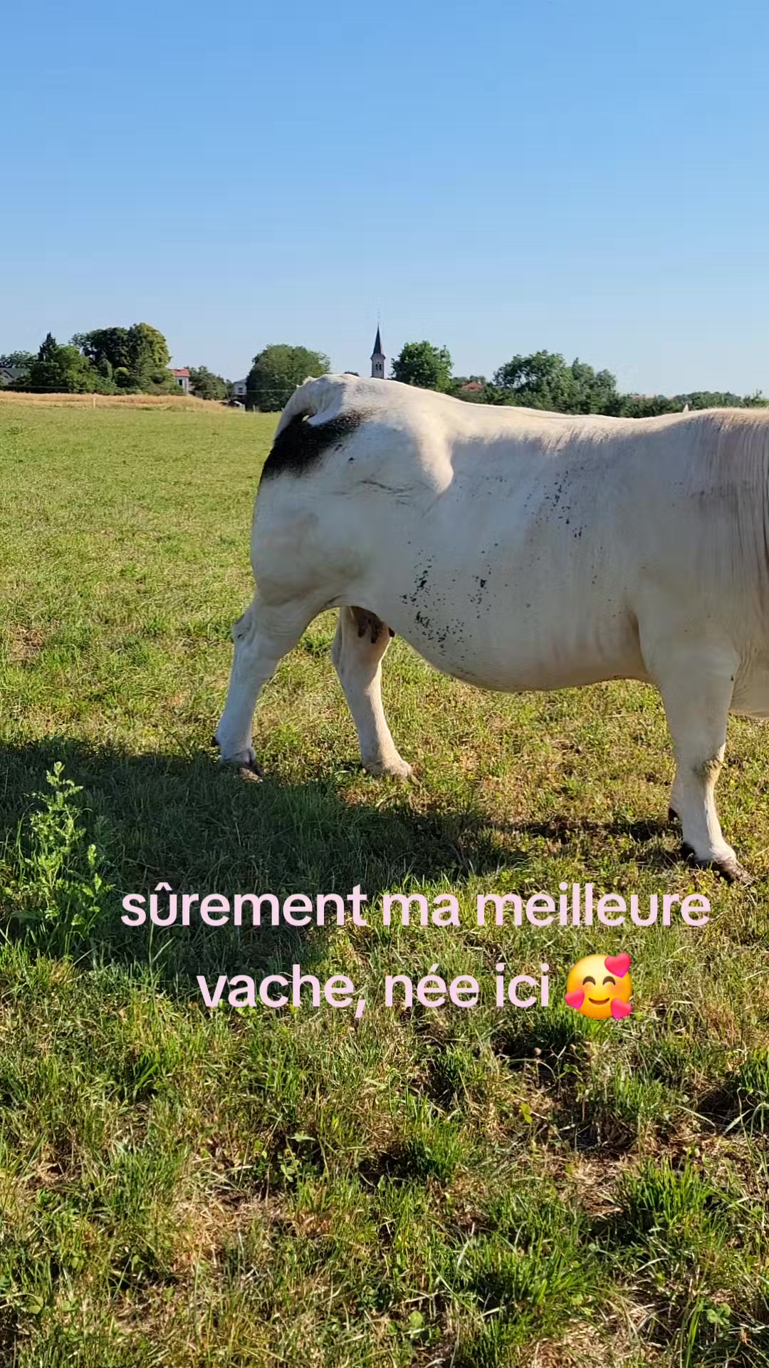 @gaetanegrimaldi21