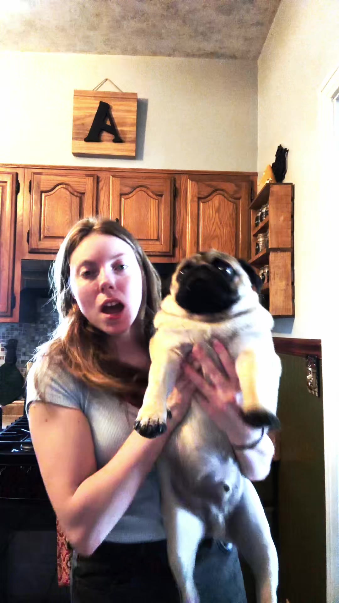 @thewinterpug