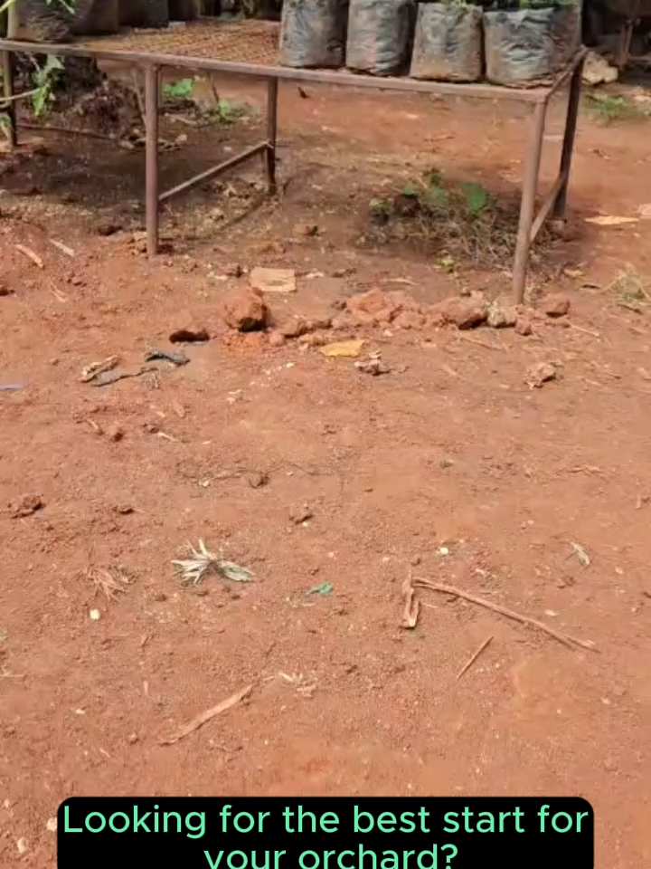 @FarmersTrend