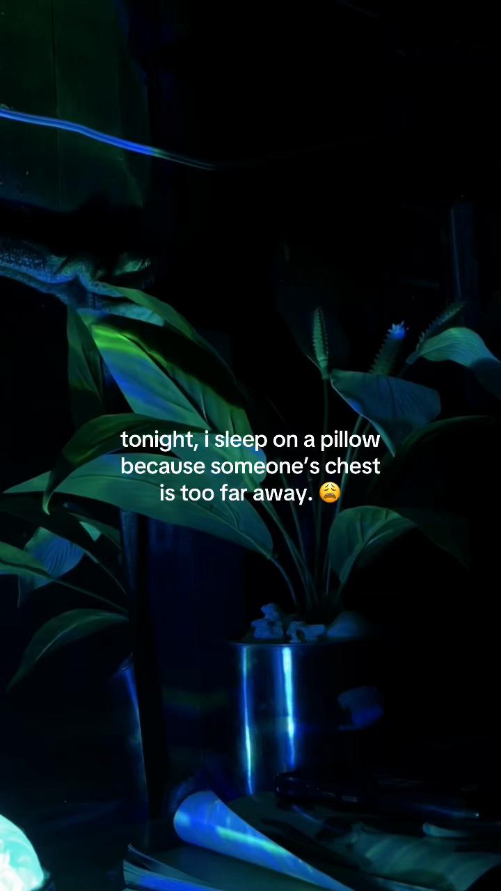 @𝒆𝒄𝒍𝒊𝒑𝒕𝒊𝒏𝒆