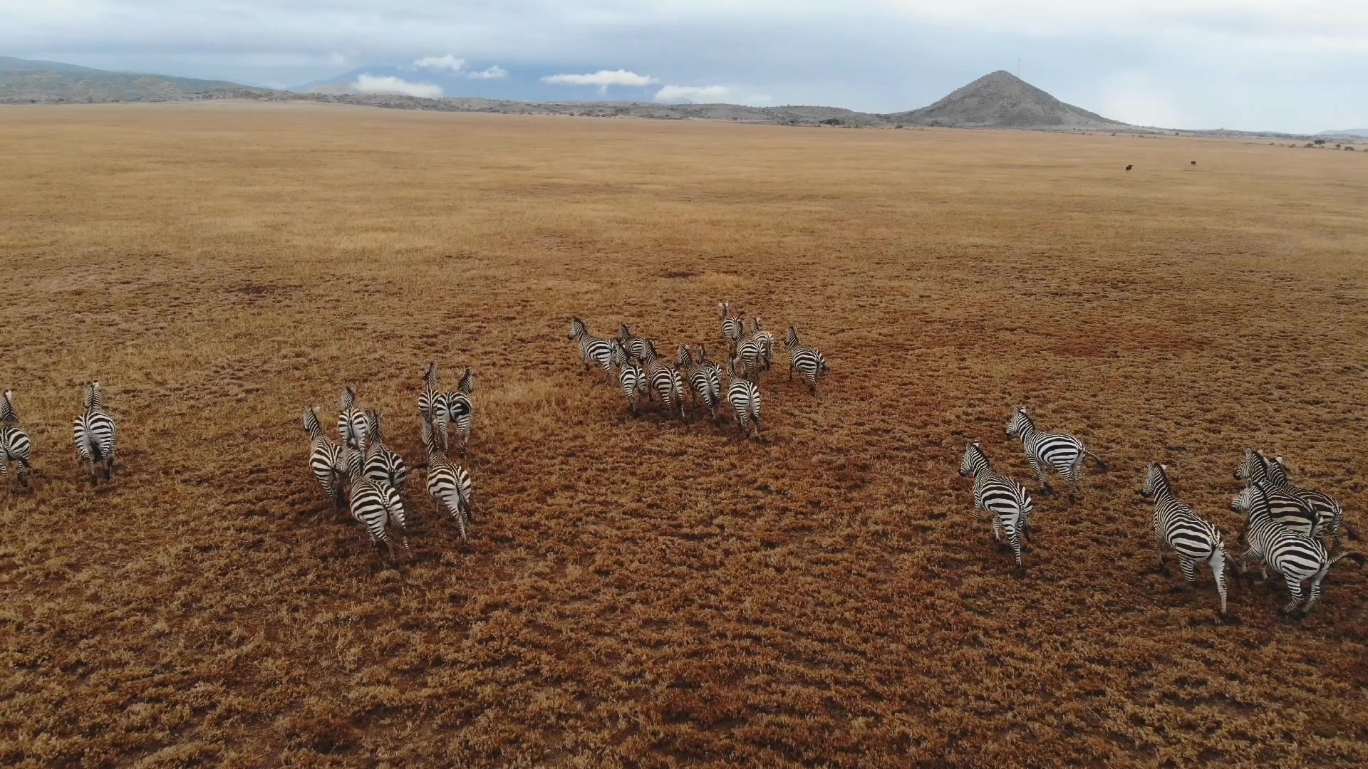 @Native kilimanjaro