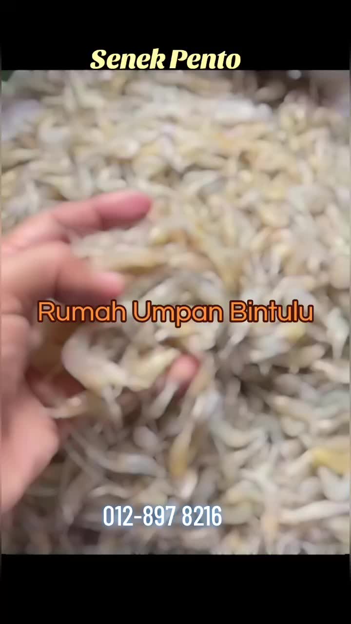 @Rumah Umpan Trading