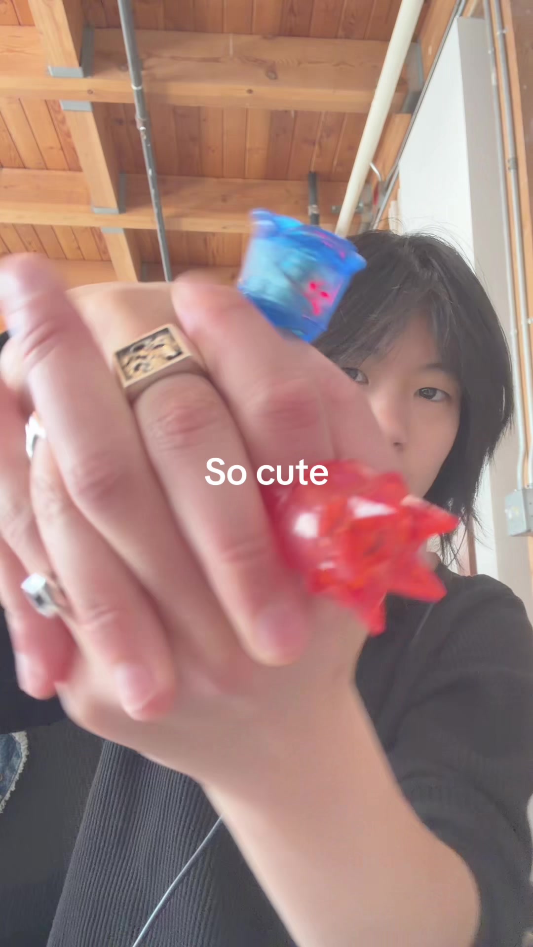 @Lindaisnotlistening