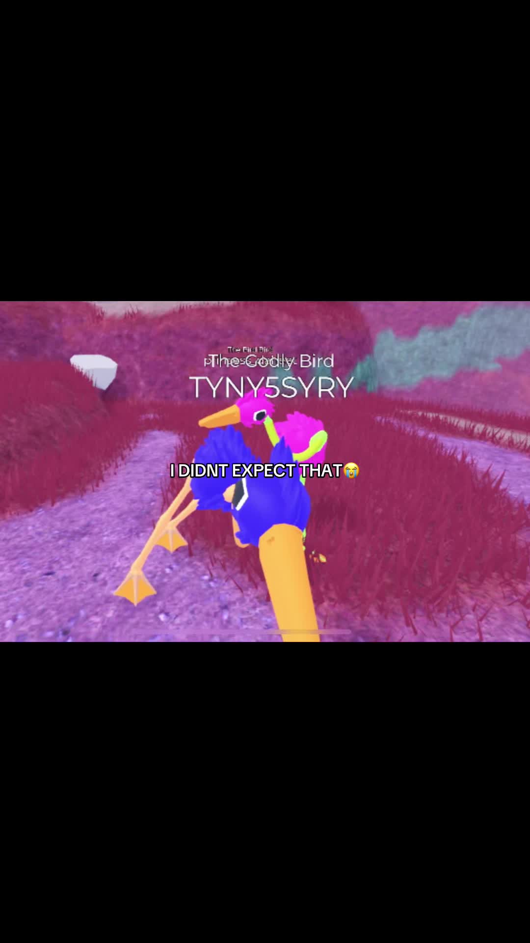 @⃟