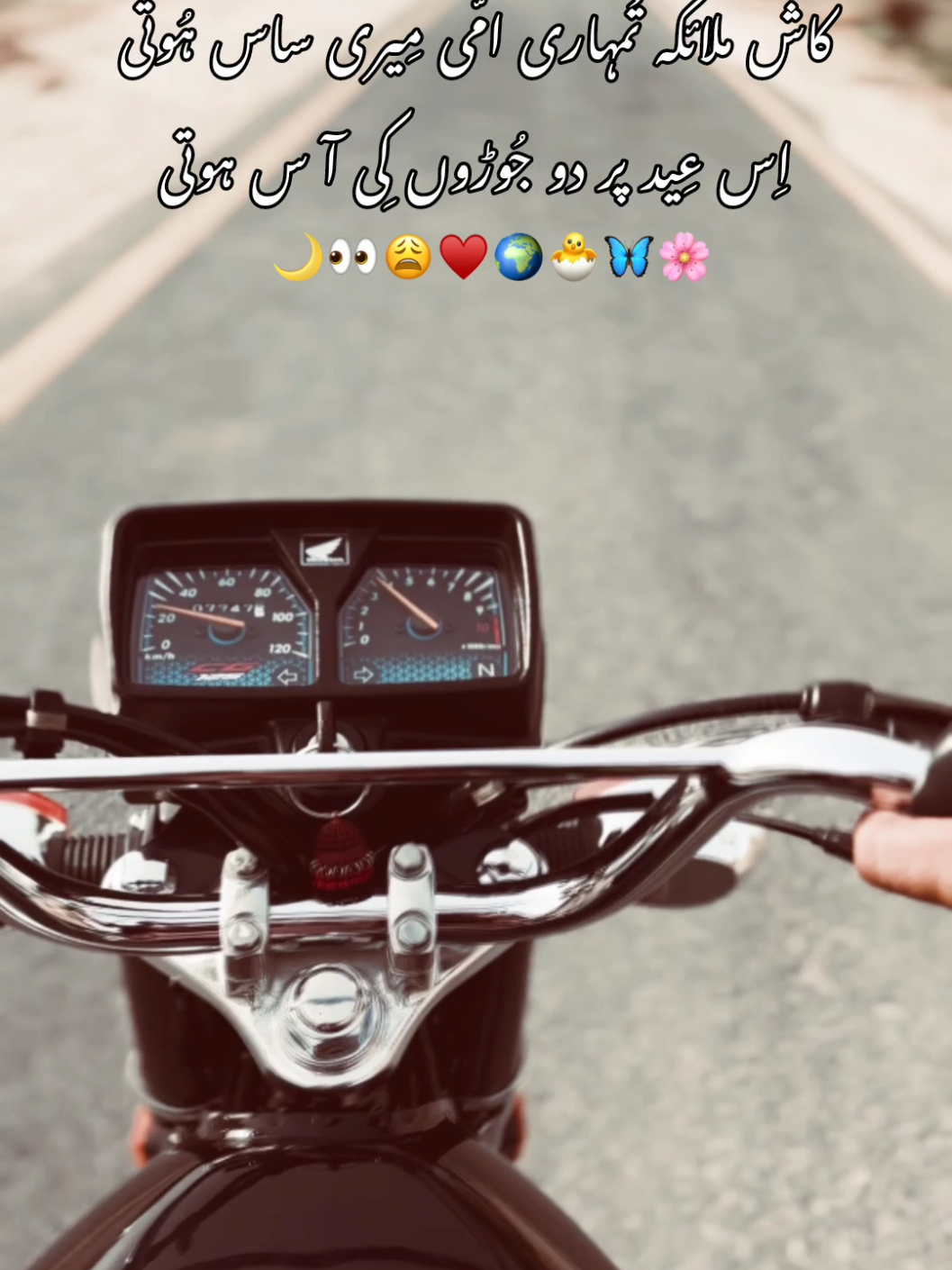 @𝐅𝐨𝐣𝐢 🚩