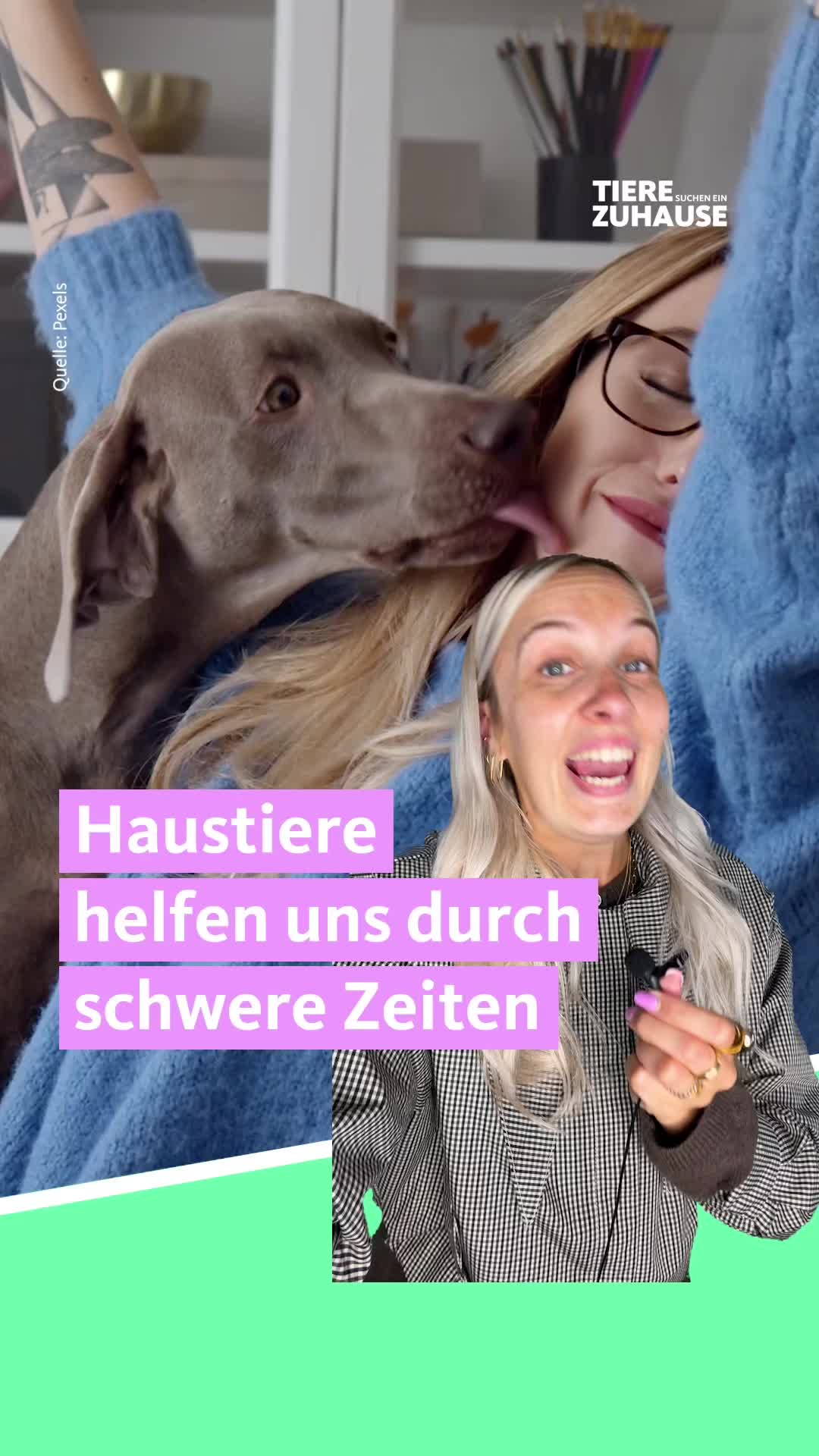 @Tiere suchen ein Zuhause