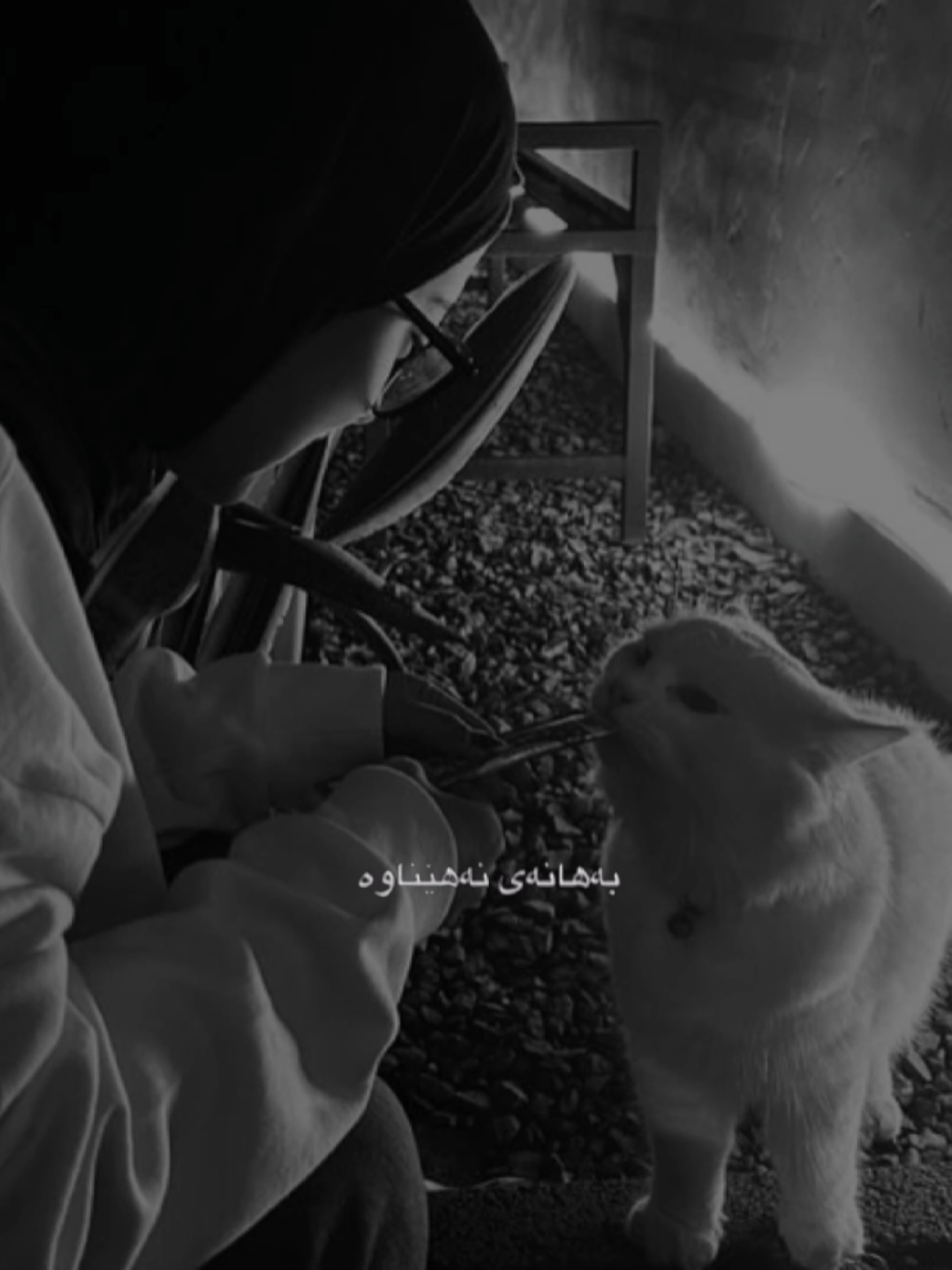 @تیـانـا❤🐈