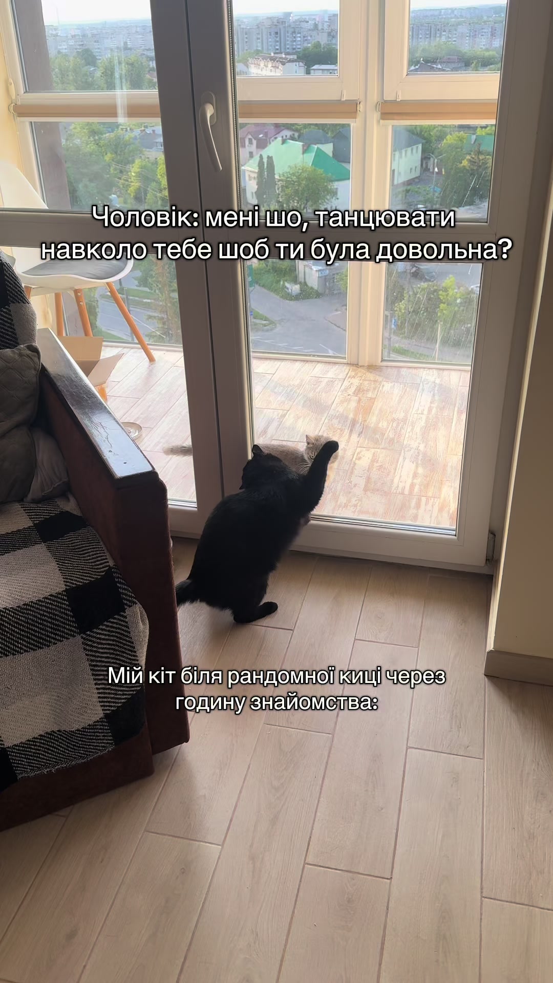 @Корнелія Удовенко