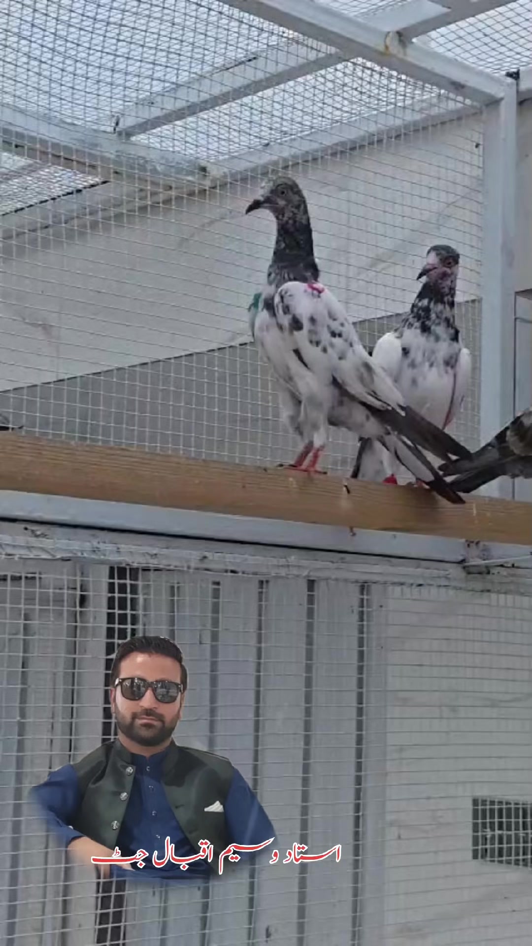@ڈیرہ جٹاں دا