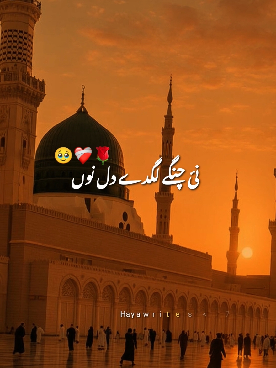 @Haya