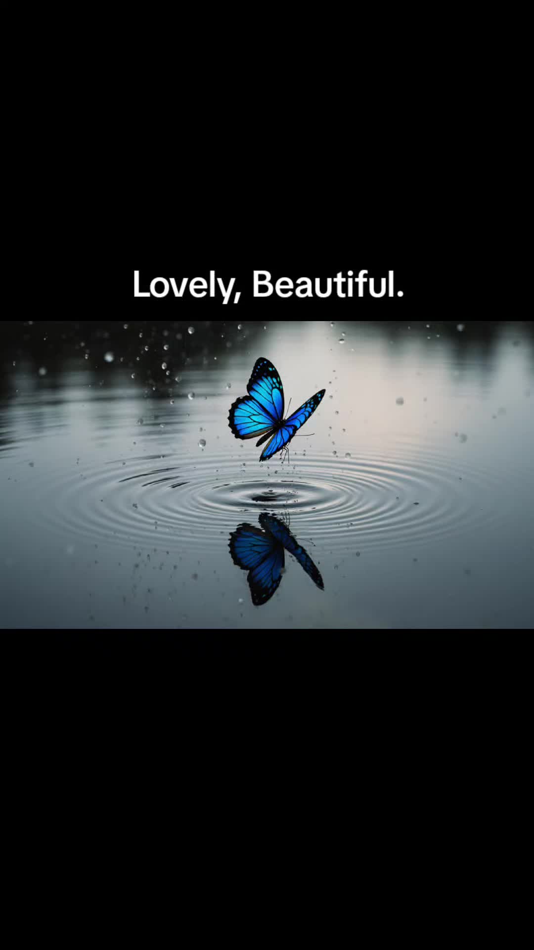 @DaryleD357