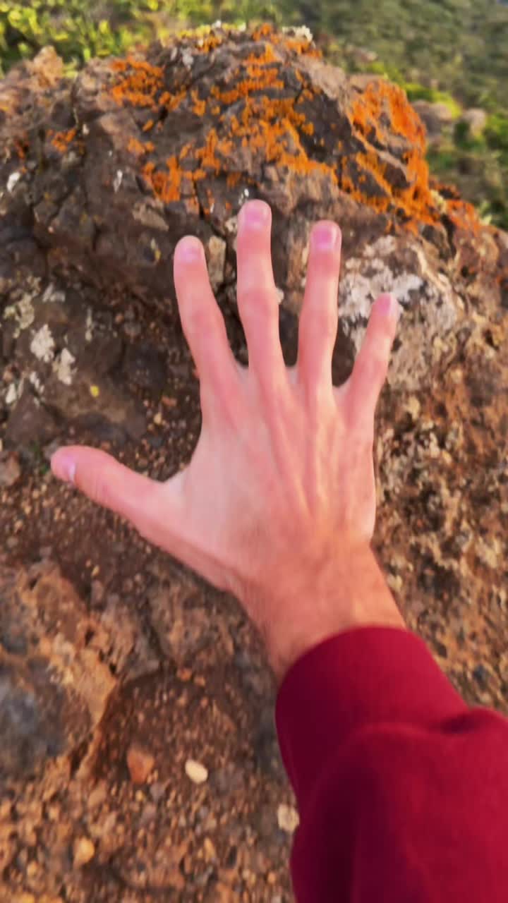 @mega