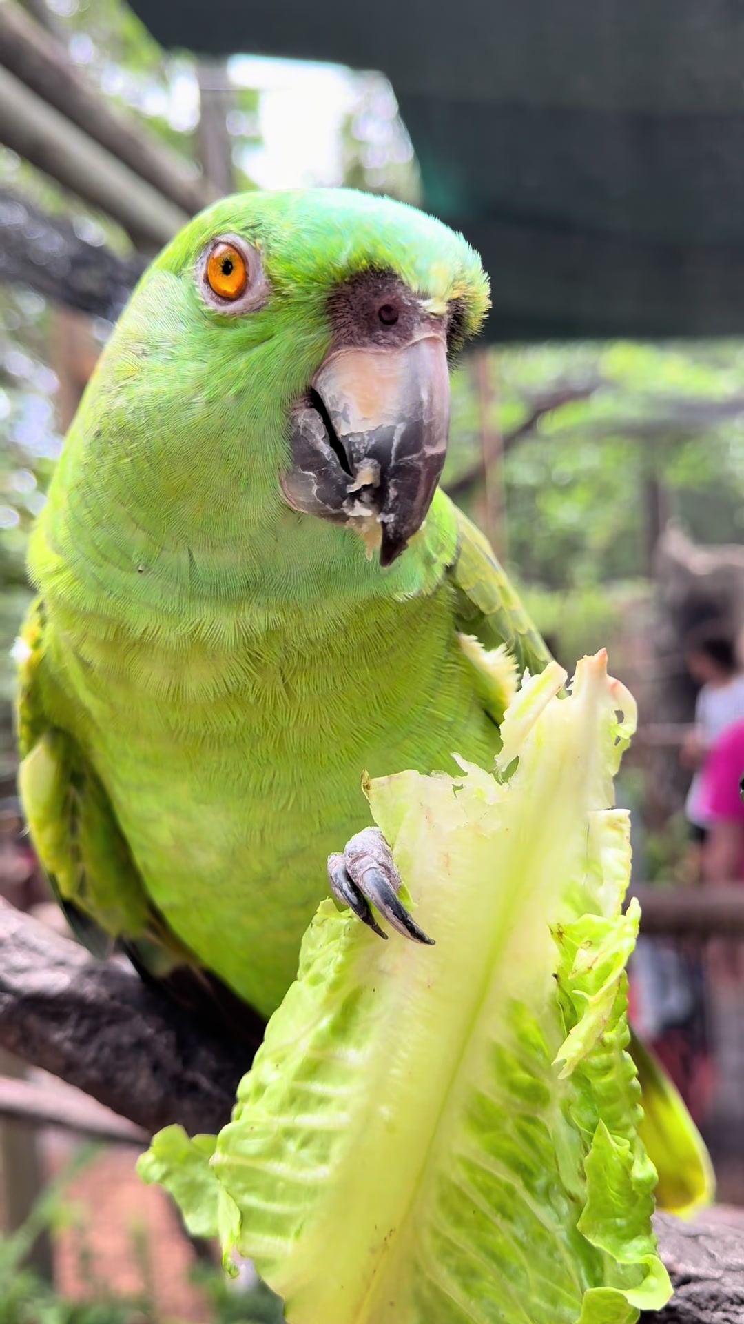 @Palm Beach Zoo
