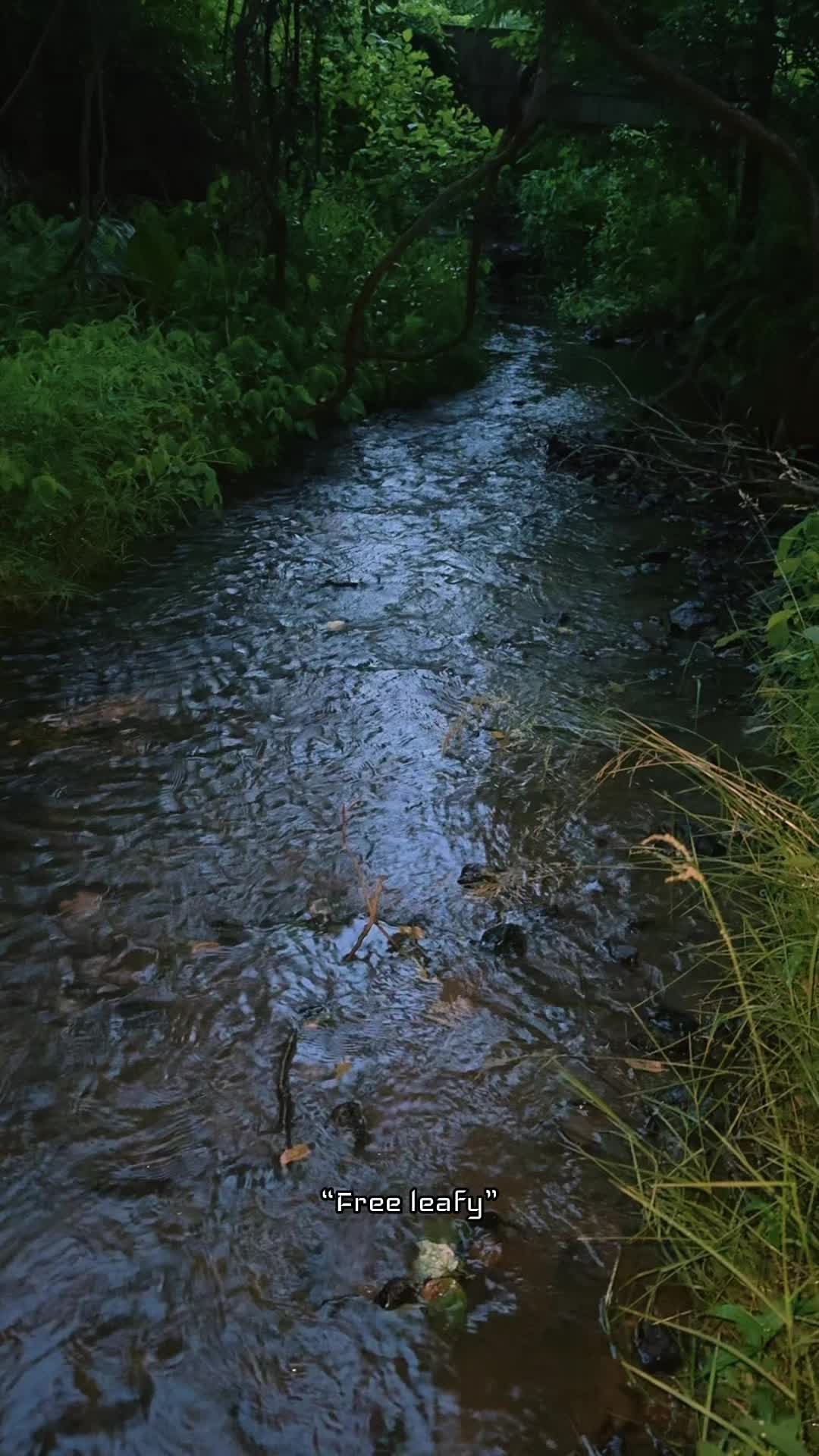 @Danigurl🦮🏇🌅🏳️🌈
