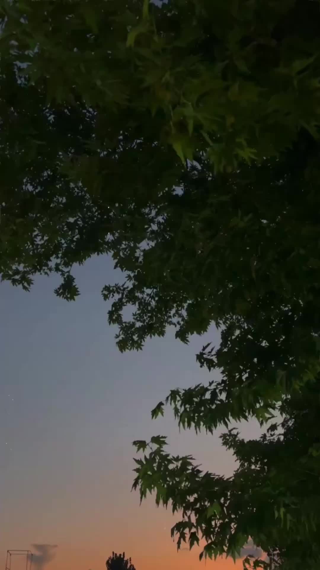 @𝗛𝗮𝗿𝗿𝘆