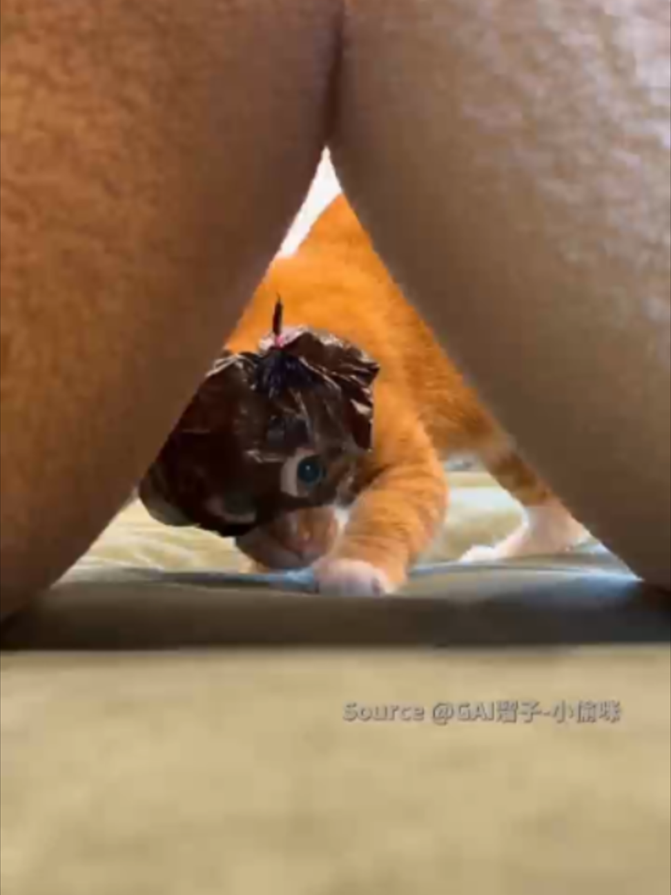 @TrendZ_CN