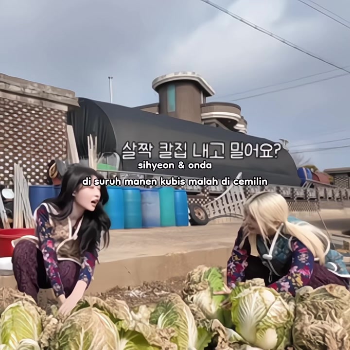 @ㅤ