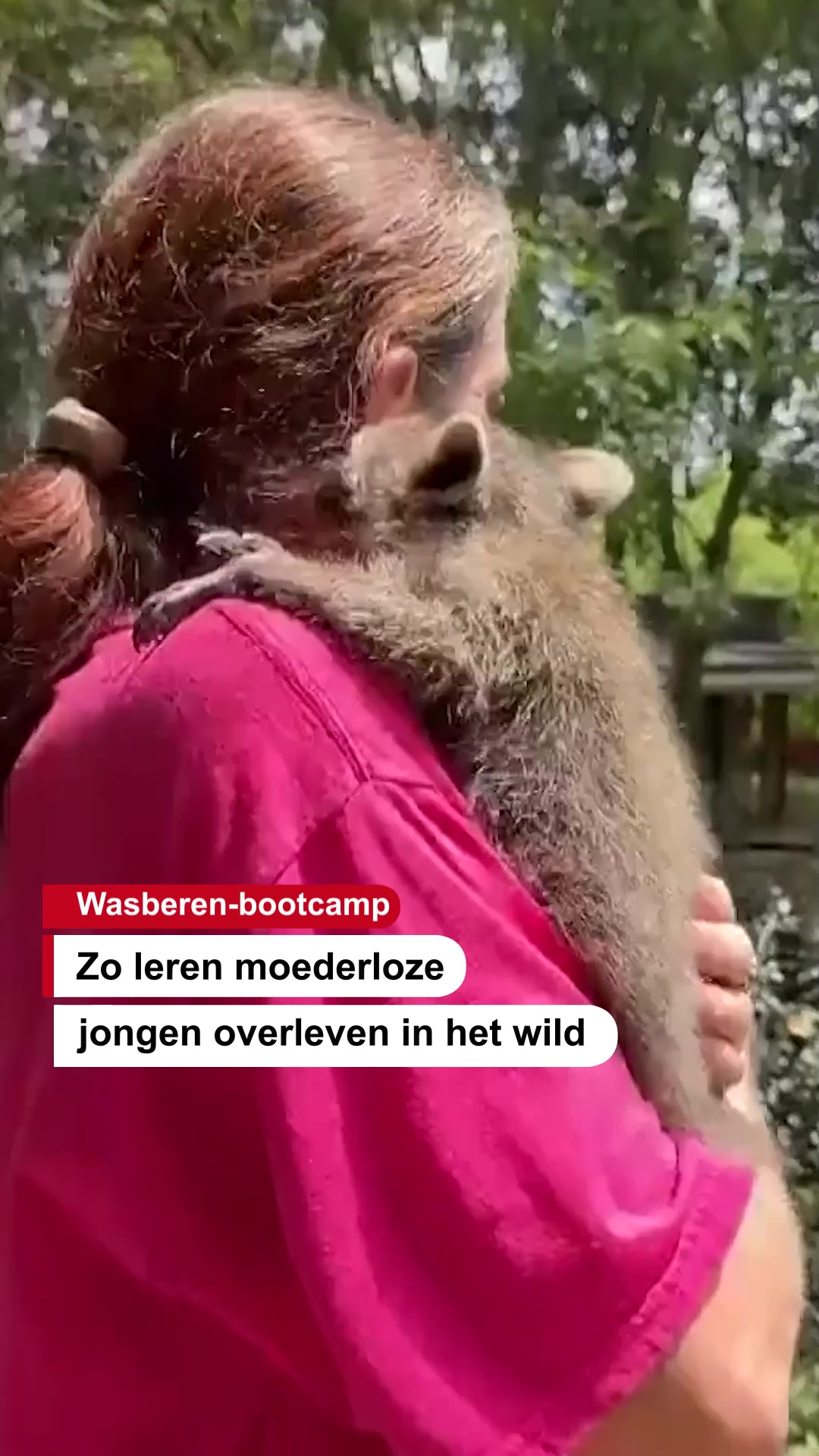 @De Stentor