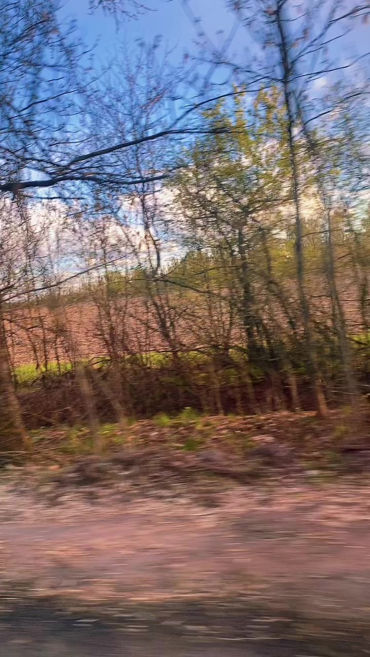 @Відьма 🐦&zwj;🔥