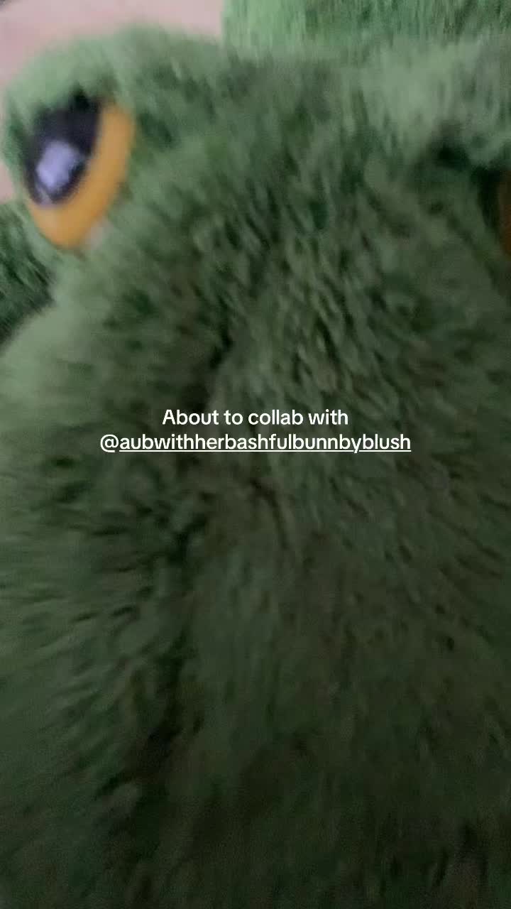 @Bunny rabbit