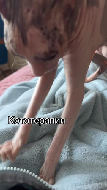 @su4ka_vezuchka