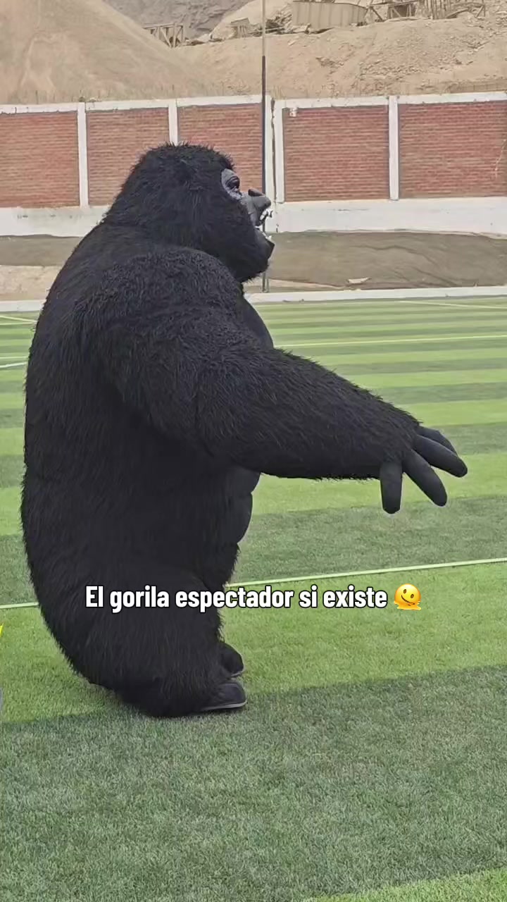 @BARRICADA PRODUCTORA