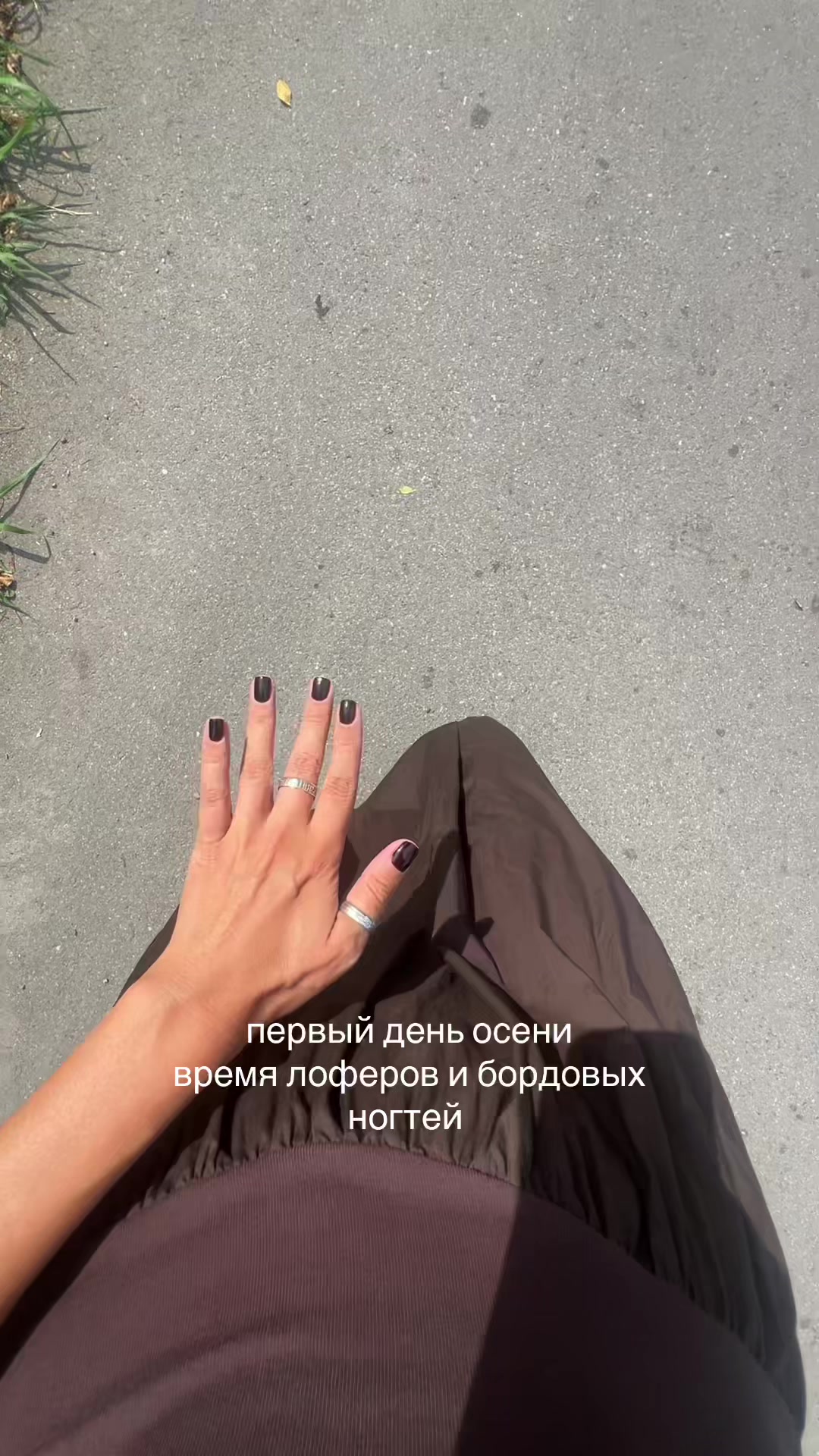 @Алло,Даша?🌊🍵🗣️📖📽️🌾