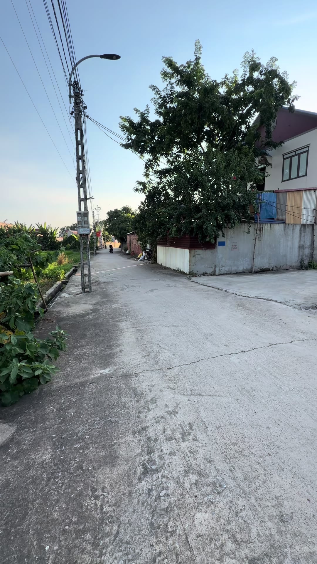 @Anh Dự Devil