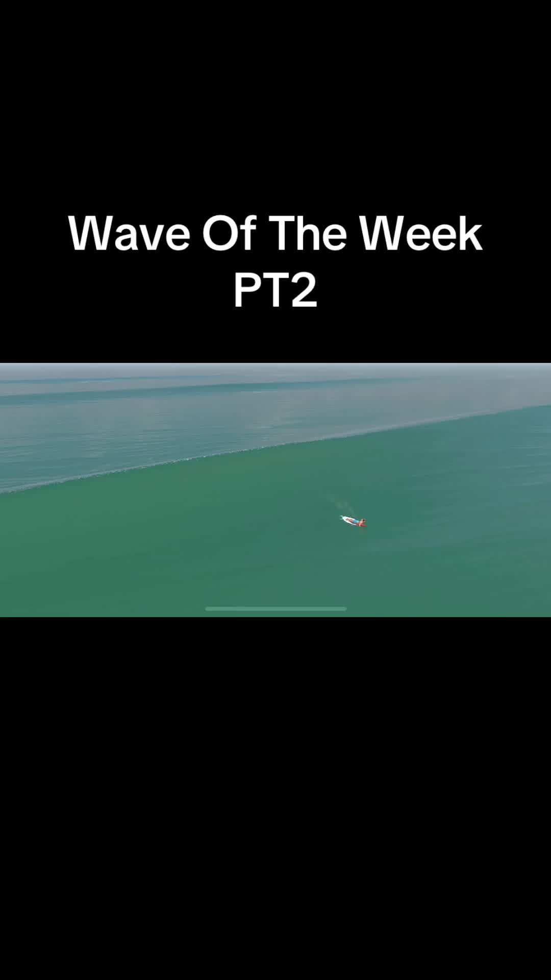 @True Surf goat
