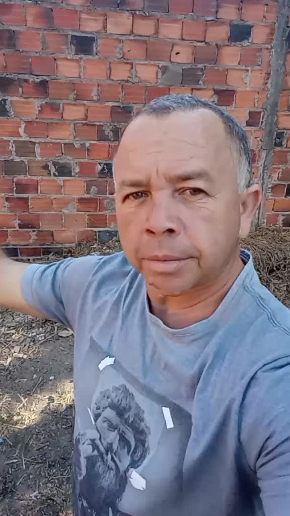 @maurotavares488